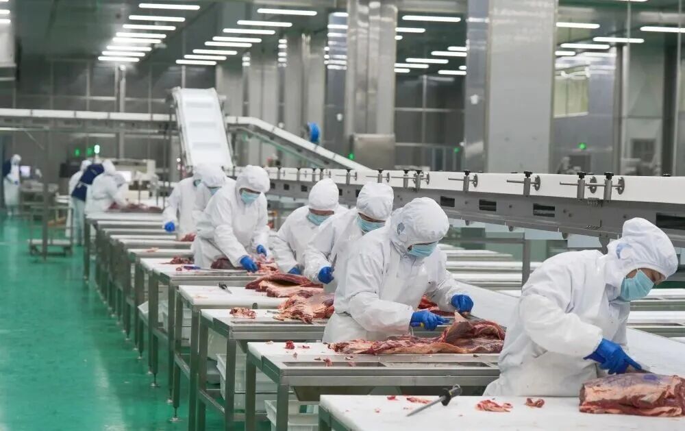 新年开好局！河南新城三大项目齐发力，净化科技绘就生态新画卷